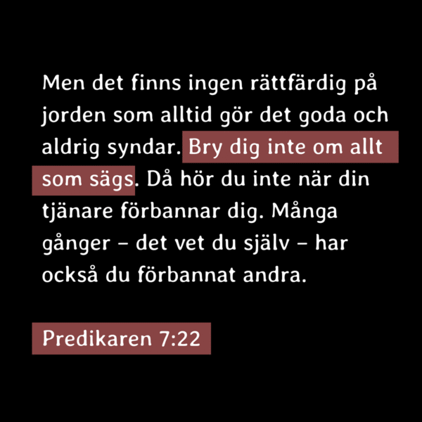 "bry dig inte om allt som sägs"